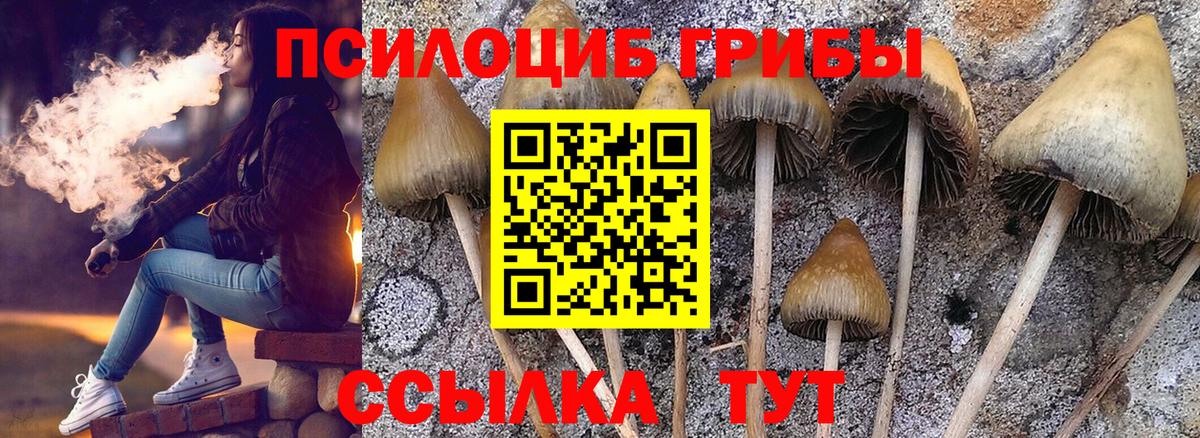 Галлюциногенные грибы GOLDEN TEACHER  купить наркоту  Рубцовск  Псилоцибиновые грибы мицелий  Вход с VPN 