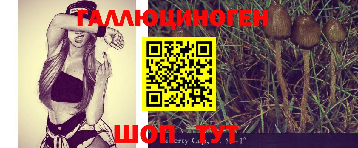 Галлюциногенные грибы мухоморы Рубцовск